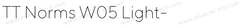 TT Norms W05 Light字体转换